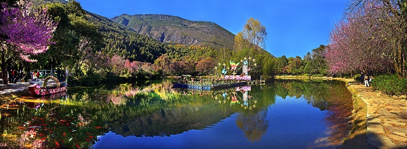 蝴蝶泉（4A）-大理旅游